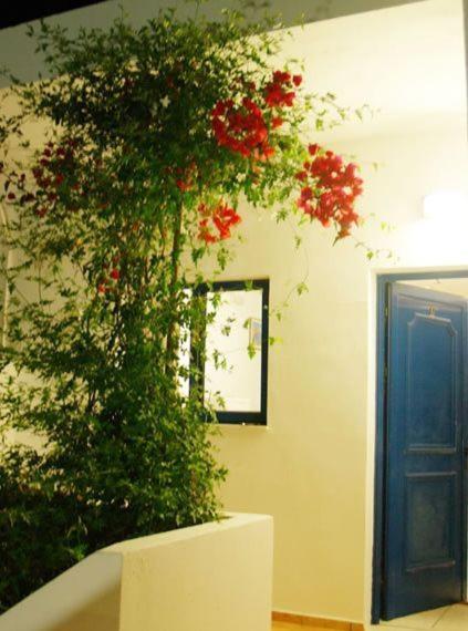 Fragokastello Star Apartment Frangokastello Exterior foto