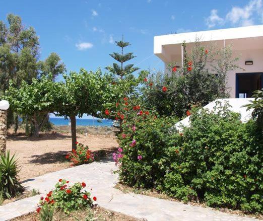Fragokastello Star Apartment Frangokastello Exterior foto